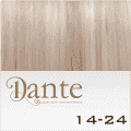 Dante-clip Light Postiche 42cm Straight