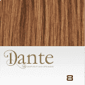 Dante-clip Postiche 42cm Straight